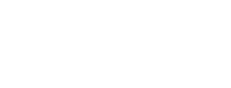 lupus container